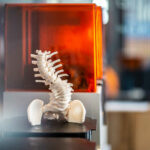 3d printed anatomical models