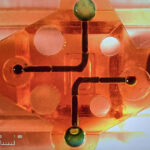 3D printed Microfluidic channels