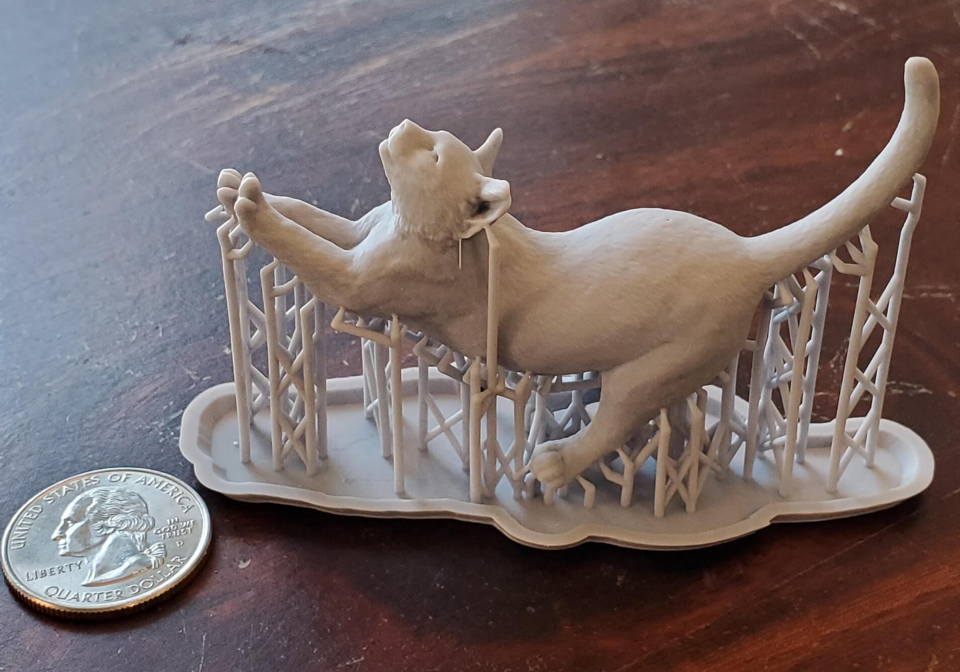anycubic d2 cat print