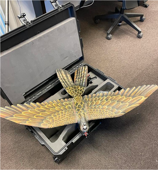 A drone bird