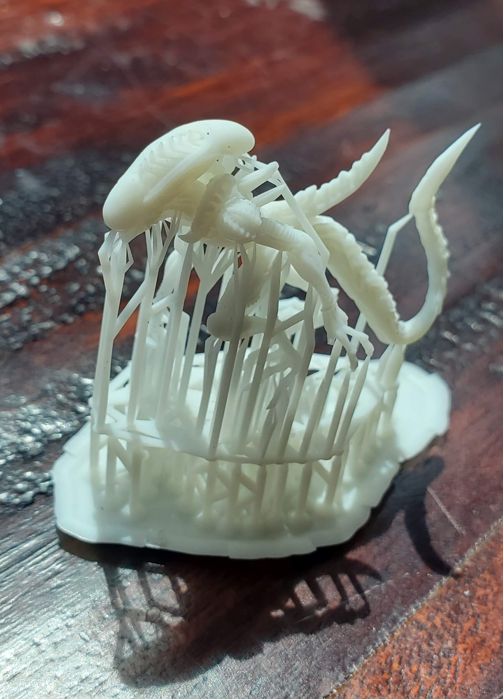 anycubic-5